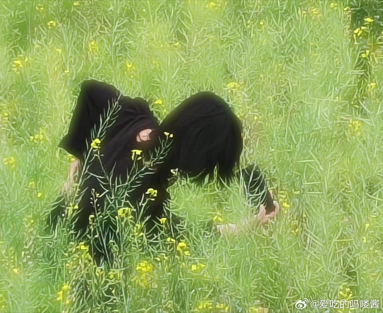 活出健康轻盈 每天锻炼一下身体，然后学习一下，早睡早起就很舒服 