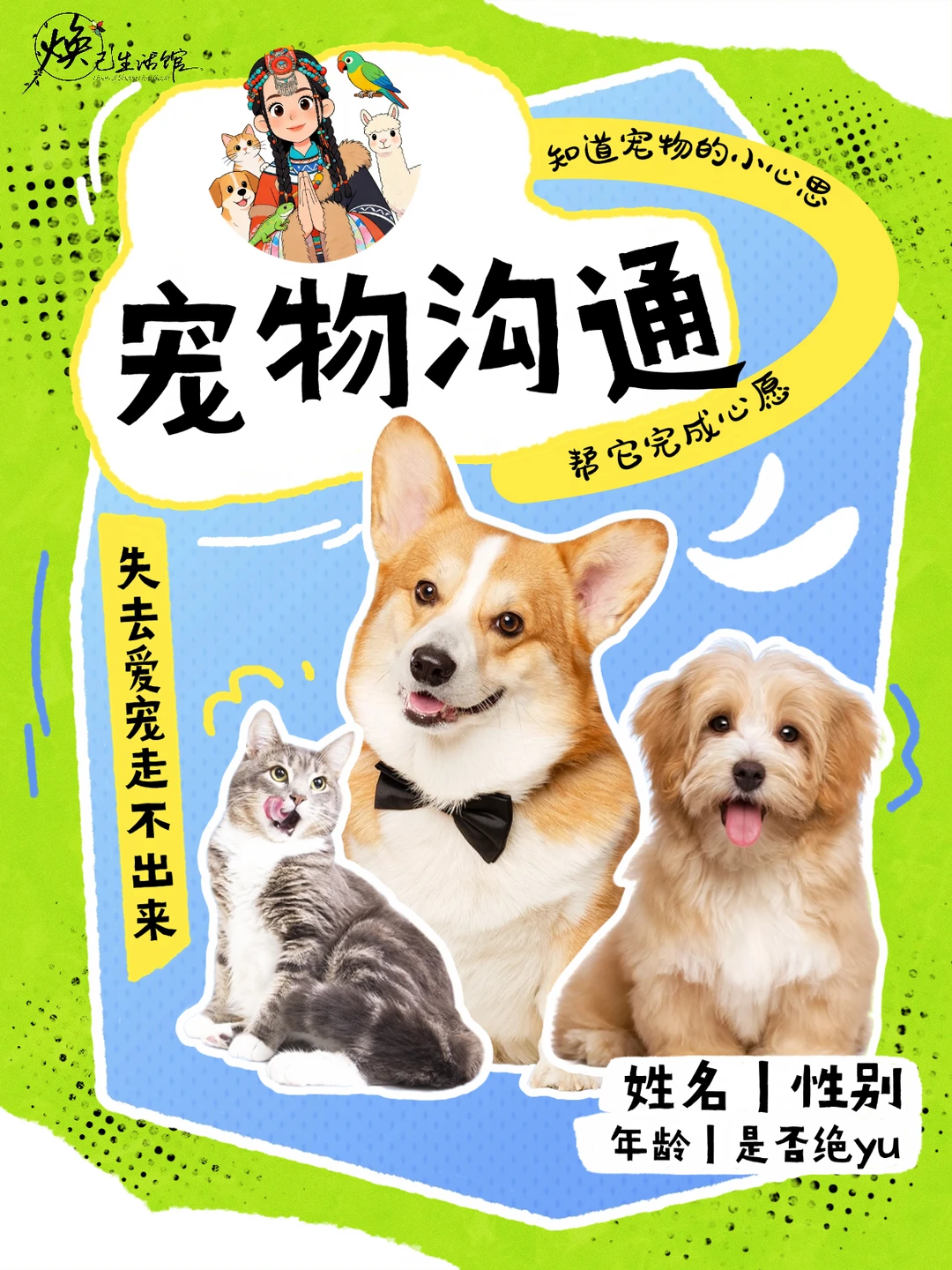宠物沟通✨黏人毛小孩了解他们