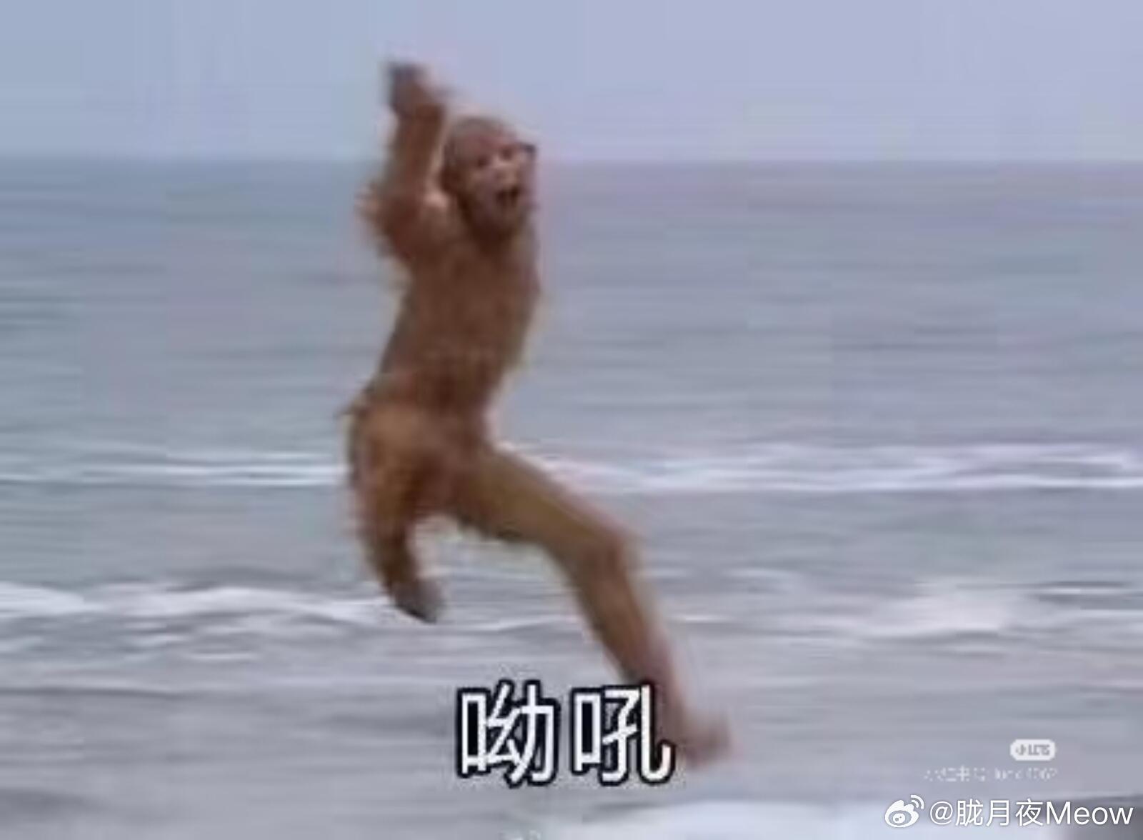 为什么很多软件叫悟空从哪吒再到悟空，传统经典人物慢慢成为互联网取名热门选择，经典