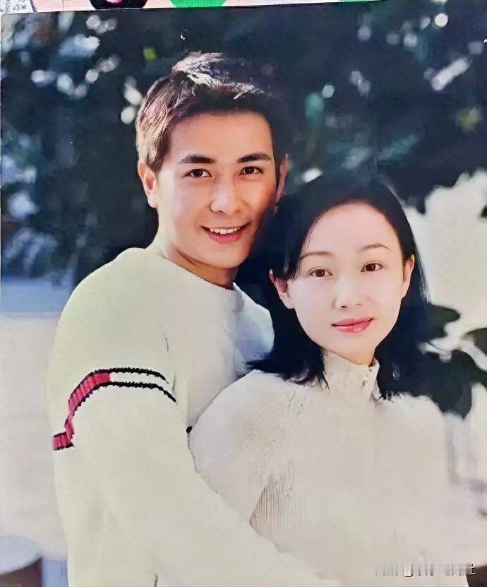 25年婚姻疑云终澄清！保剑锋声明：自愿离婚，无交集

一张旧照，两人依偎，曾是无