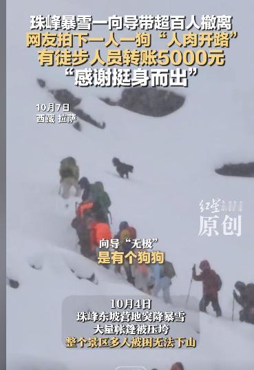 “太暖心了！”西藏珠峰突发暴雪，一向导冒“死”带百余人雪中撤离，还把狗派到前面带