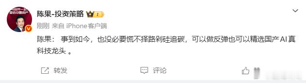陈果还是真有水平的。事到如今，没必要慌不择路到处追。可以做反弹，也可以精选国产A