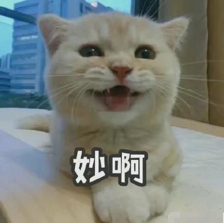 #中国网络文化红到巴黎# 看着中国网络文化在巴黎的受欢迎程度，我仿佛看到了文化交