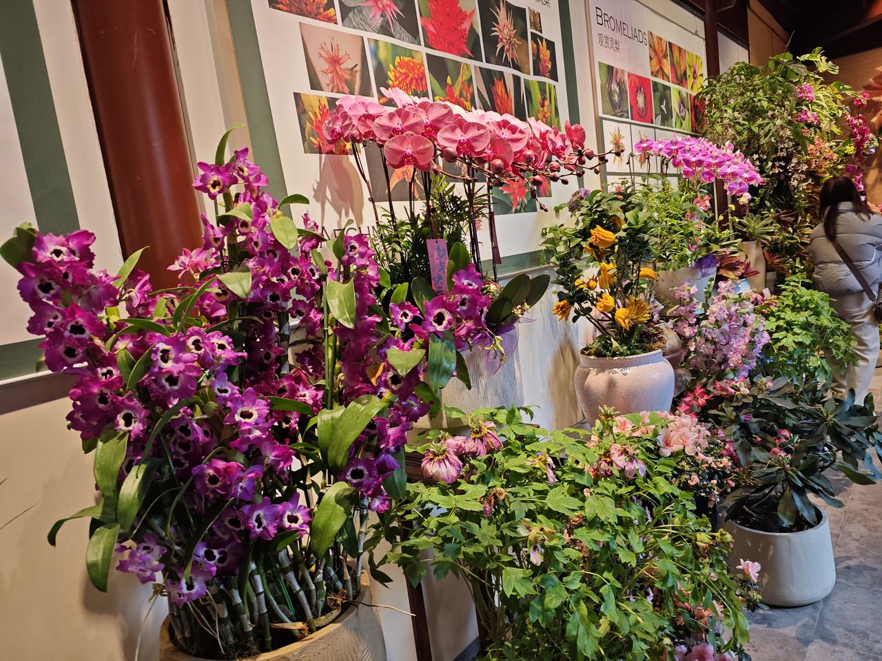 现代空袭手段日新月异，即便拥有先进防空装备，也难以做到万无一失。战场态势瞬息万变