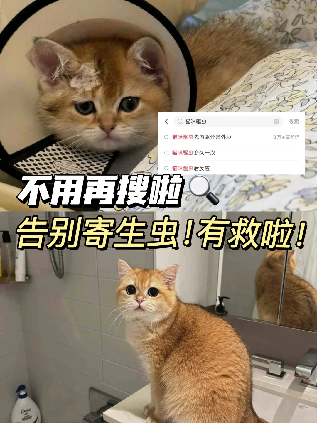 驱虫，易如反掌！