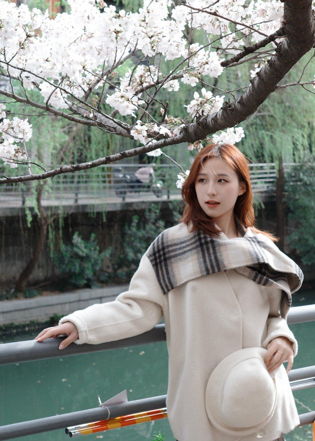 樱花味的春天 ​​​