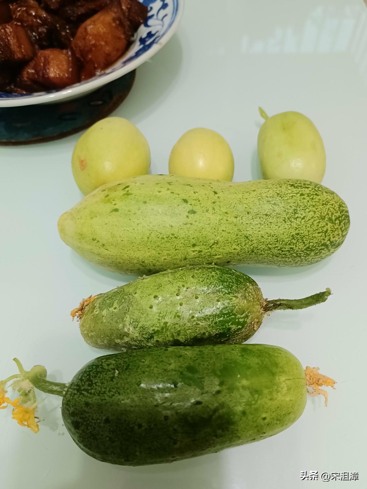 第一口新鲜的秋黄瓜，终于安排上了。
在菜园里守了好久，从育苗、搭架，看着藤蔓慢慢