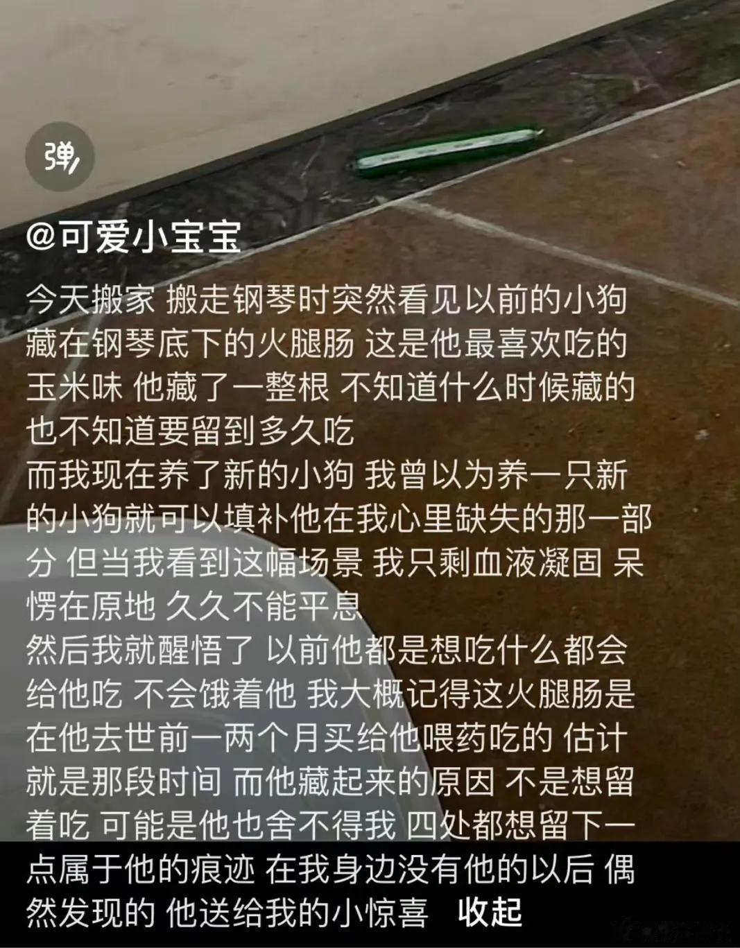 
所以，这个世界上有没有小狗鬼小猫鬼啊[流泪][流泪][流泪]它们还会回来看主人