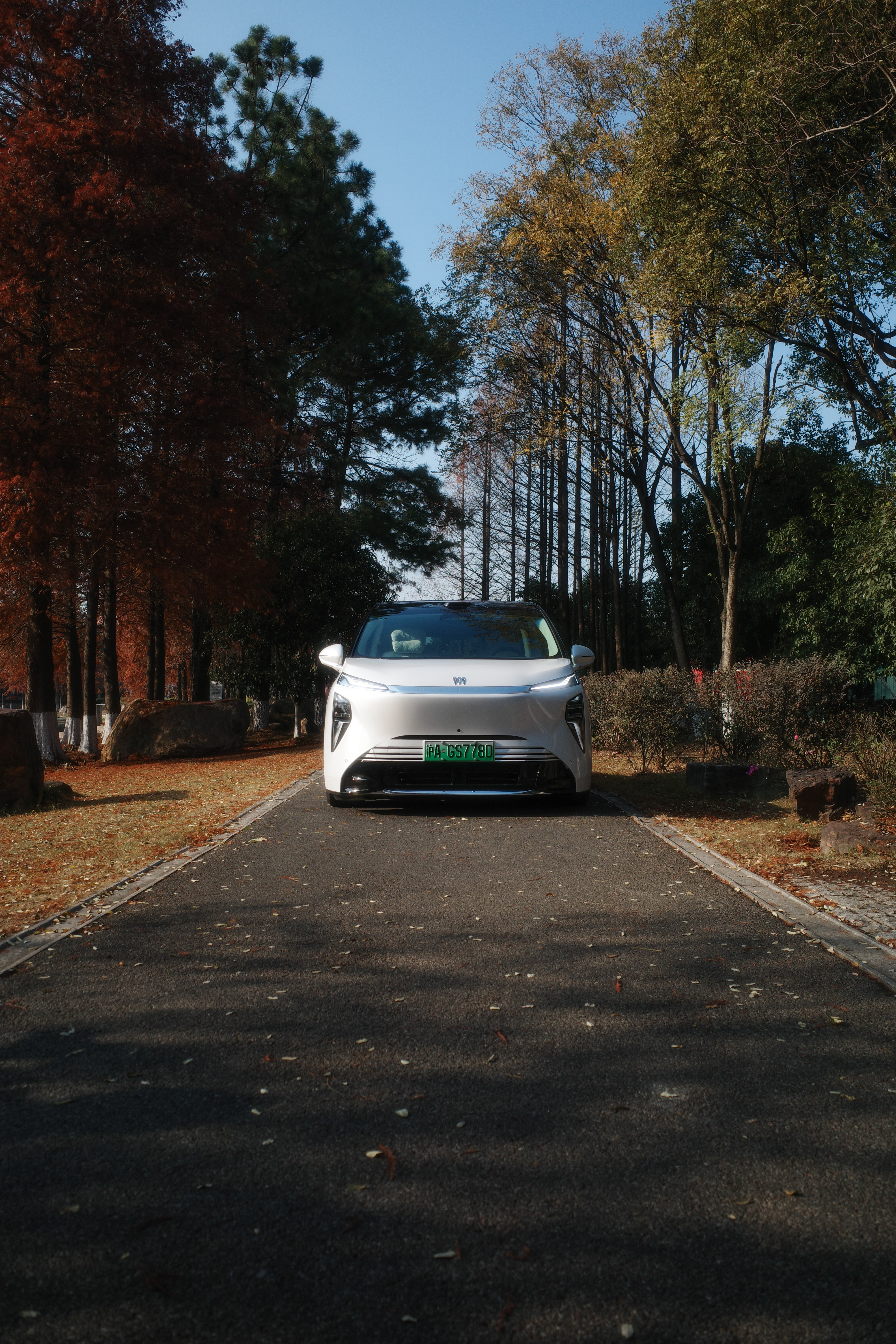 昨天下午的拍摄花絮，理光小相机随手来几张，伴着冬日暖阳是真舒服啊 