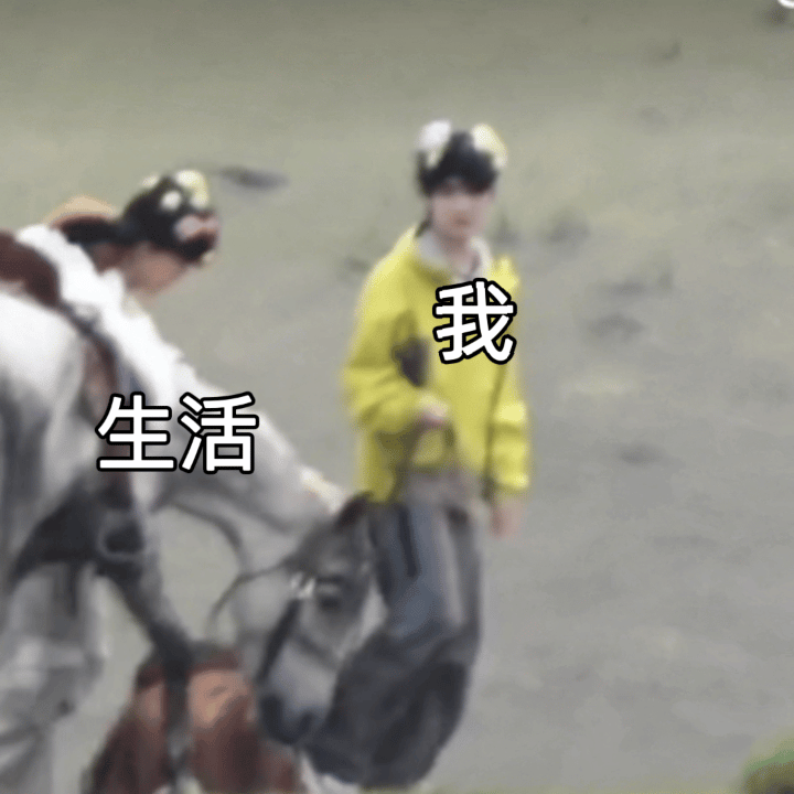 苏新皓被马顶了 小马突然“偷袭”，苏新皓当场猝不及防，虚惊一场，愿后续录制一切顺