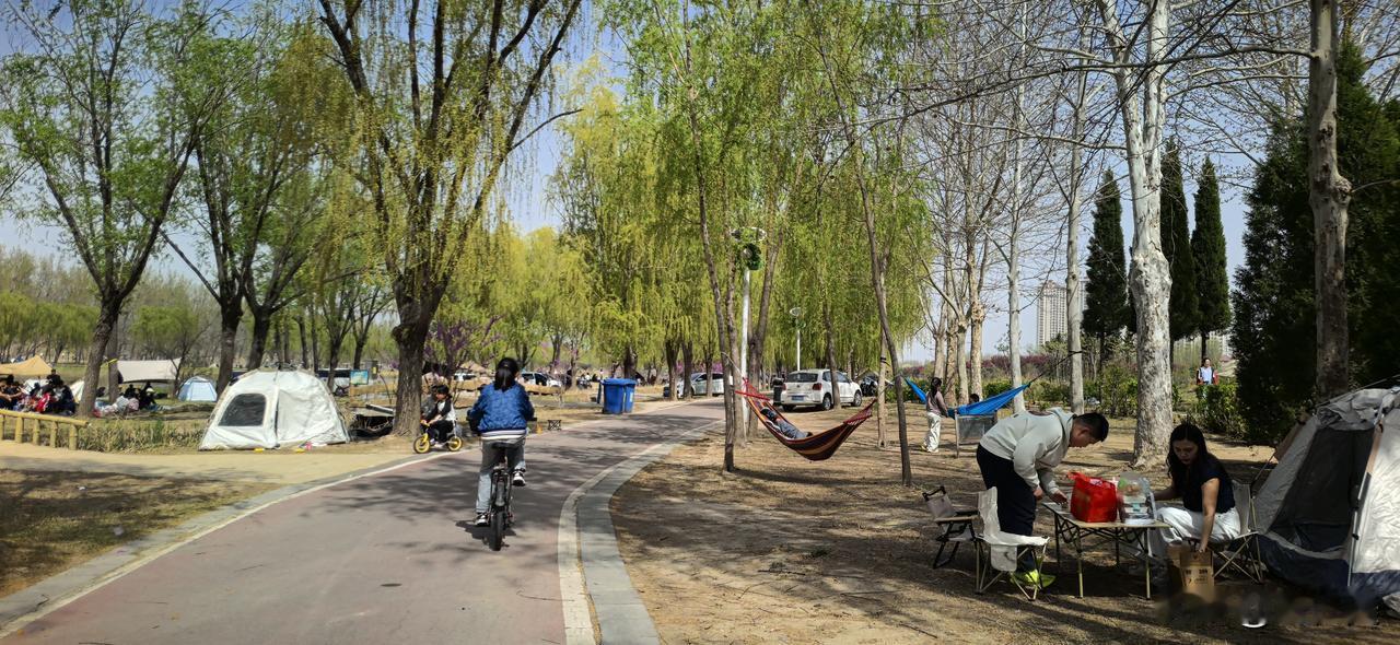 清平乐·德州清明游春
 
减河春晓，万树繁花俏。
岸畔帐篷连步道，醉享人间安好。