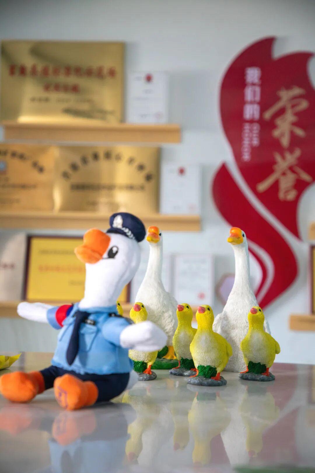 皖风沃土，鹅业高地！探秘一只致富白鹅的全产业链发展之旅！