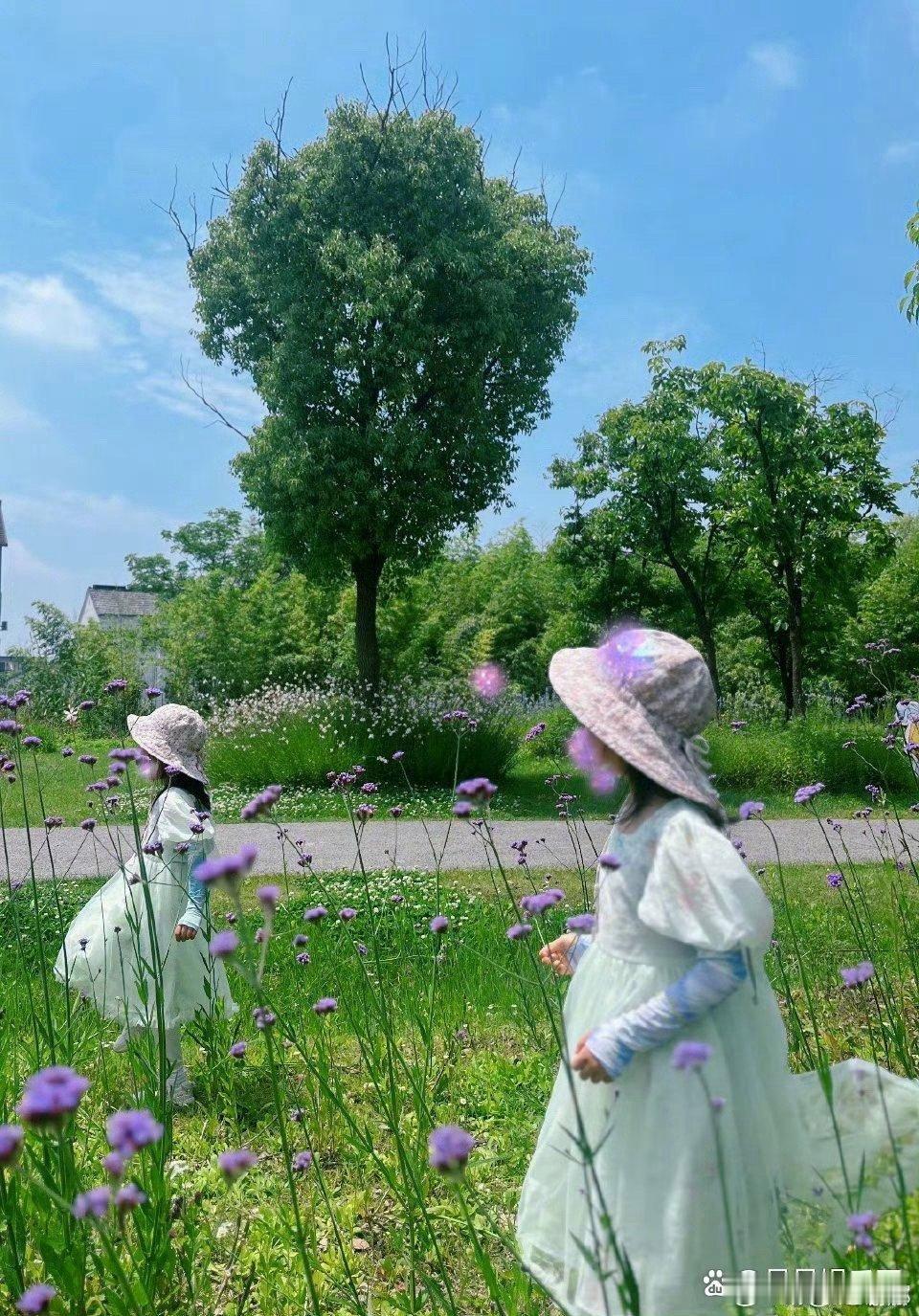 谢娜庆祝跳跳俏俏八岁生日谢娜庆祝跳跳俏俏八岁生日， 一家四口太甜了！谢娜的爱和智