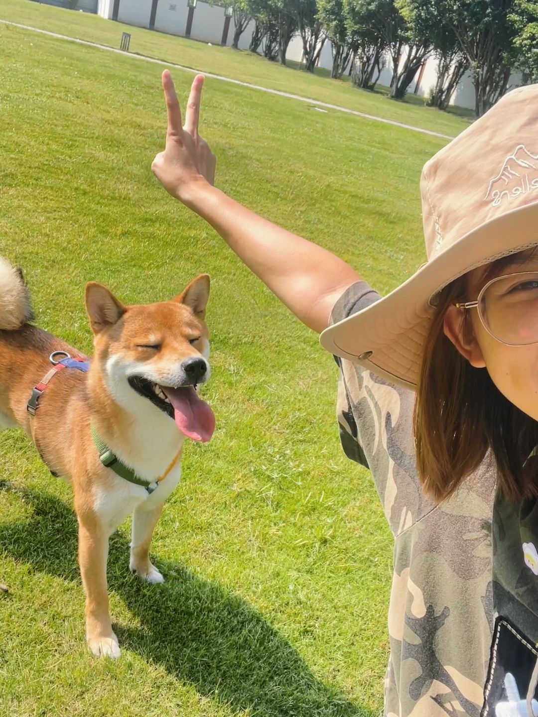 DOGWALK｜楼下的草坪真的很爱