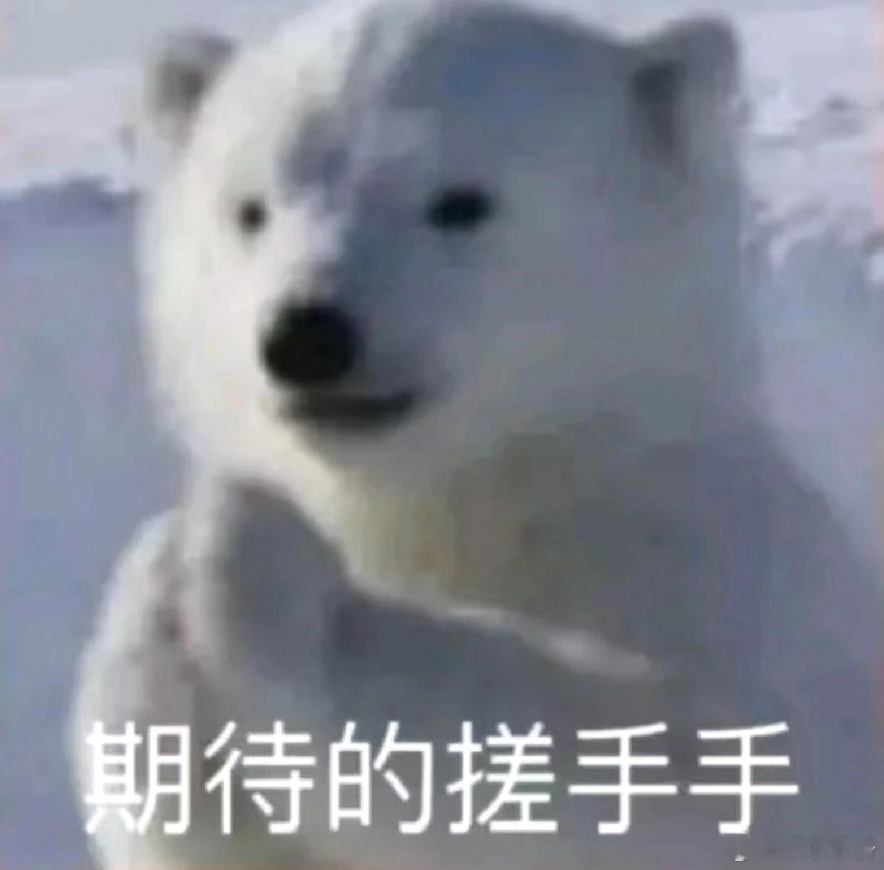 周鸿祎发文送车，网友们简直疯狂，评论区满是想要小米车的留言 