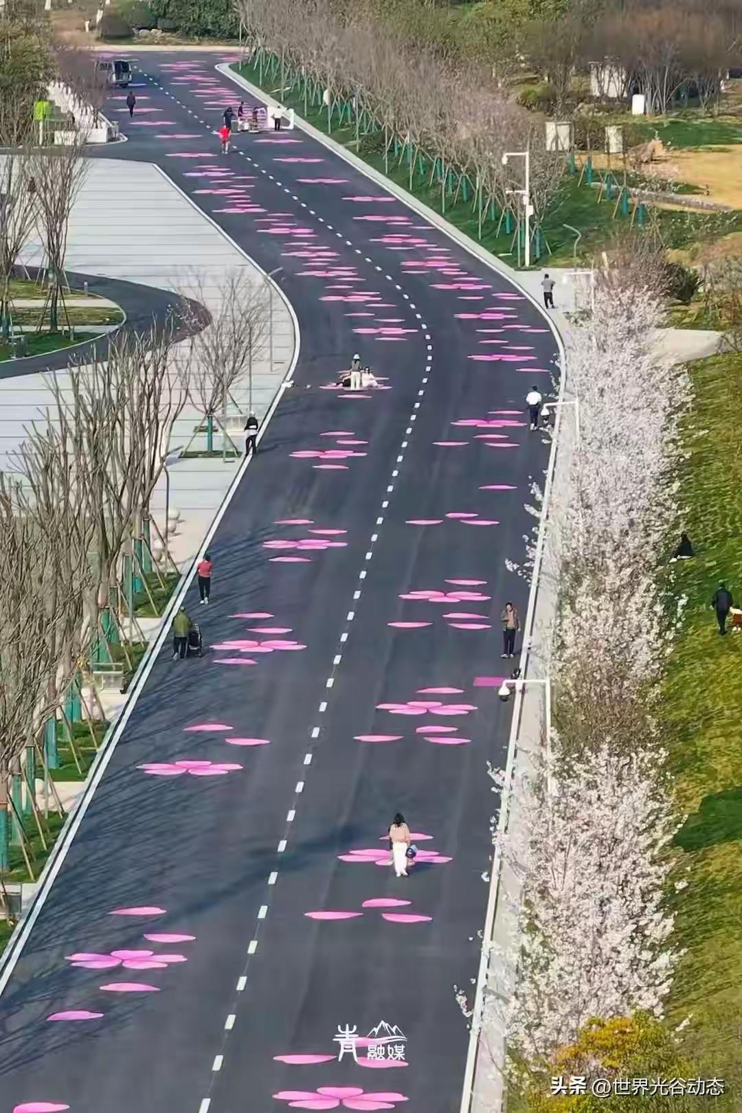 樱花盛开，漫步在粉色的浪漫跑道上，感受春天的气息。🌸🌸🌸