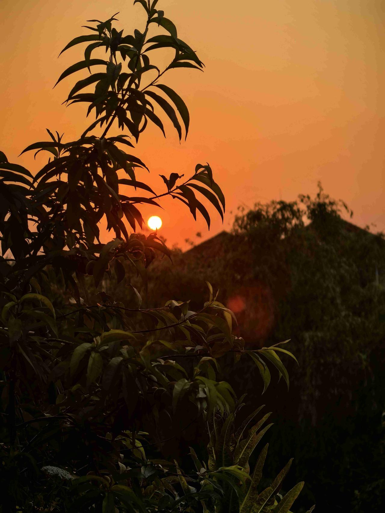 我的今日状态：😁轻松愉快
我这里的天气：🌈雨过天晴暖橙夕阳漫过屋檐，我在园里