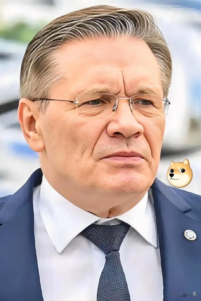 12月25日，央视新闻消息，
俄罗斯国家原子能公司总经理利哈乔夫公开证实，已收到