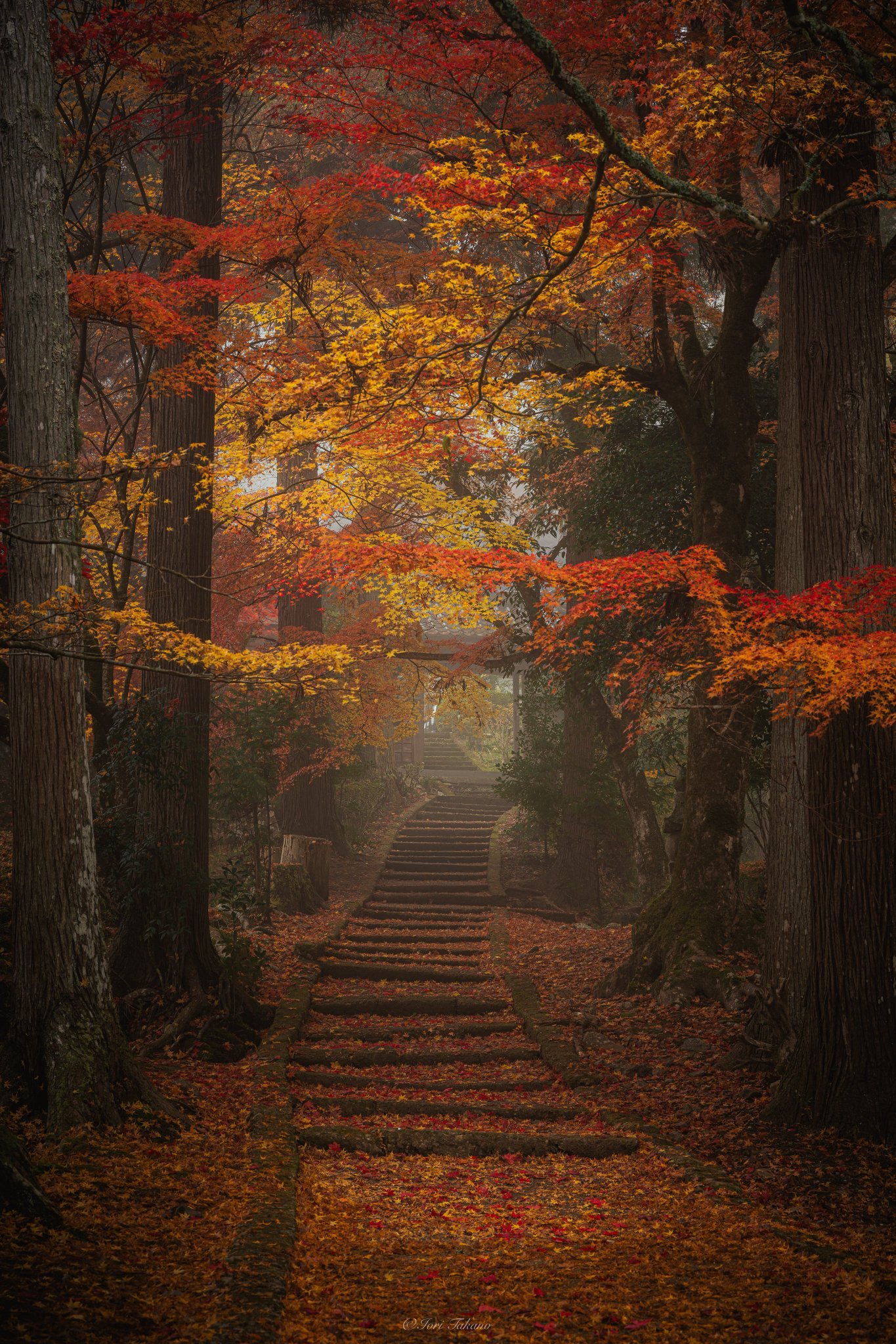 Wer jetzt kein Haus hat, baut sich keine