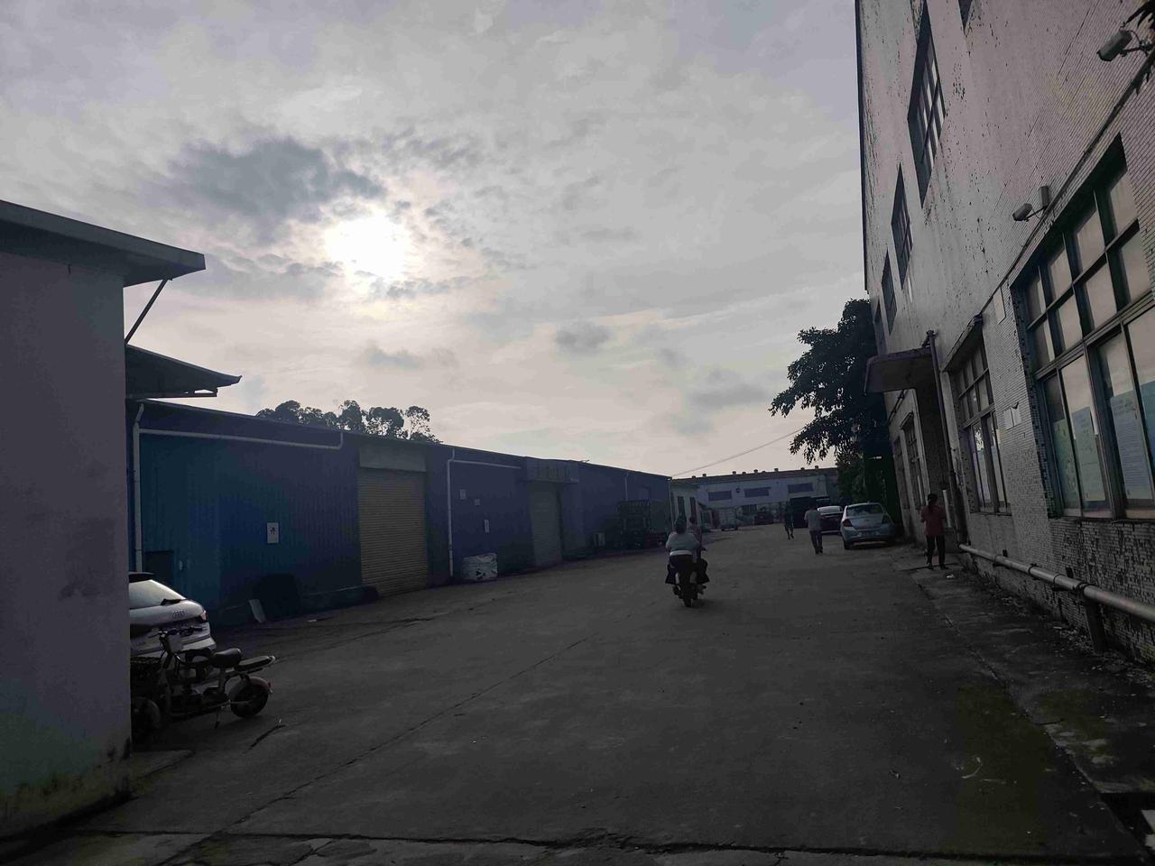 我的今日状态：😁轻松愉快
我这里的天气：☀️晴天
7月28日晨，台风过后的晴天