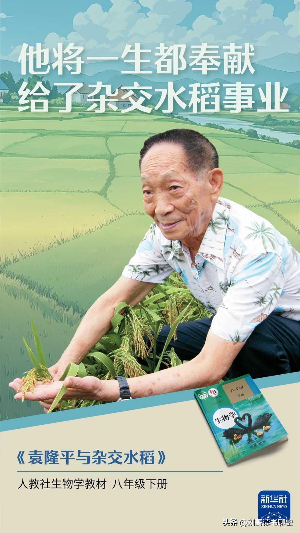 袁隆平在病房里做实验，妻子躺旁边输液

1982年正月初二，邓哲被送进抢救室。