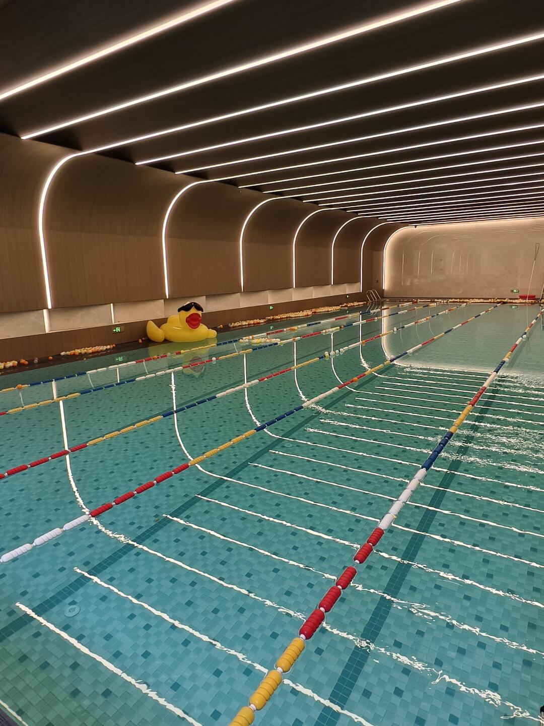 会所控狂喜！2000㎡泳池 + 私宴厅