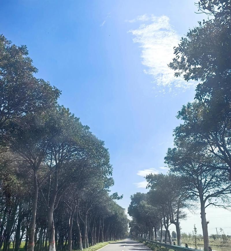 昨天下班后，与同事沿着护城河边便道一直往住的方向走，本打算再走上一段就上河堤骑共