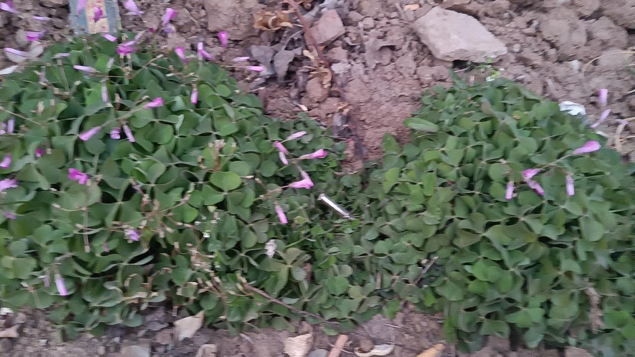 你说，今年冬天最“不”了的事情有哪些？是不是气温“不给面子”，一波接一波的冷空气