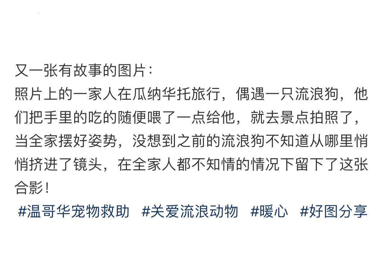 小狗在拍照的时候应该很想成为他们的家人吧… ​​​