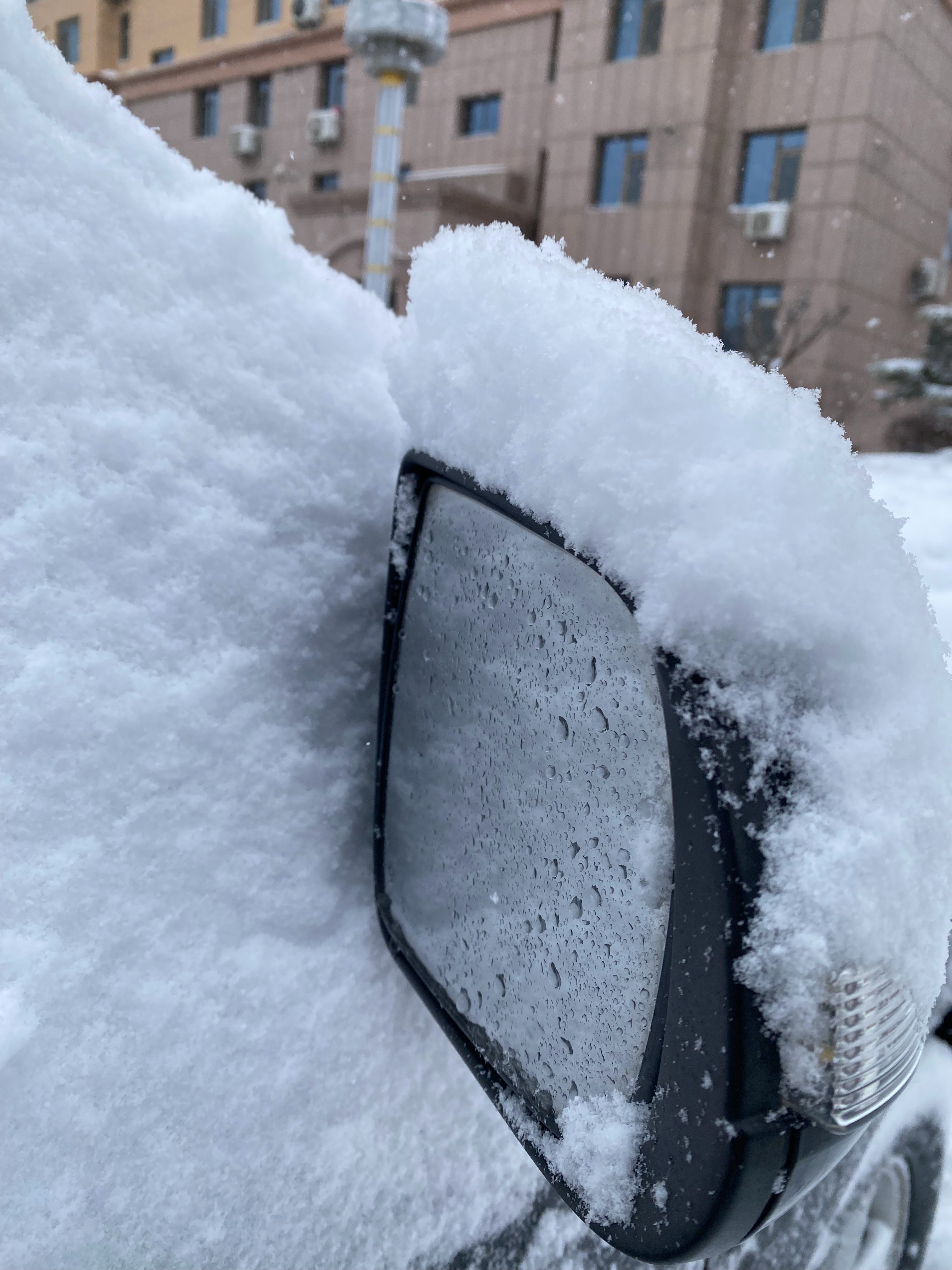 [二哈]不说了，出去玩会雪降降火 