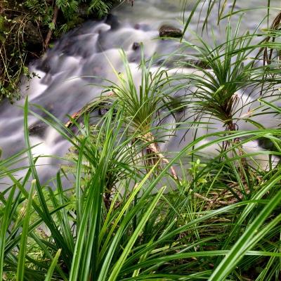 生活一地鸡毛，
当你心烦意乱的时候如何化解？
有一妙招，屡试不爽。
没有一帆风顺