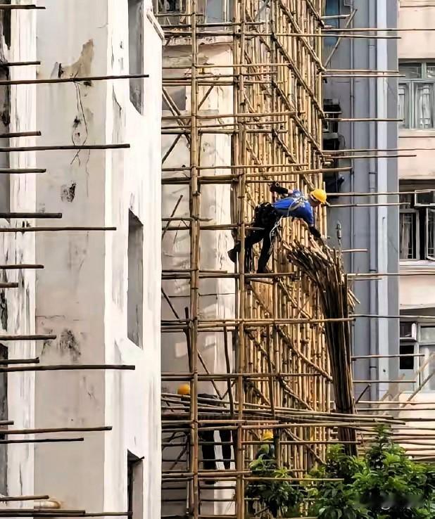 终于搞懂了！
香港至今还在用竹子脚手架，
真不是落后也不是缺钢筋钱！

很多人说