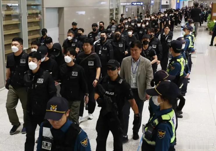 【韩国年轻人扎堆去柬“发财”，孙玉良：涉诈才知道啥叫“没出息”】一张数据表，映射