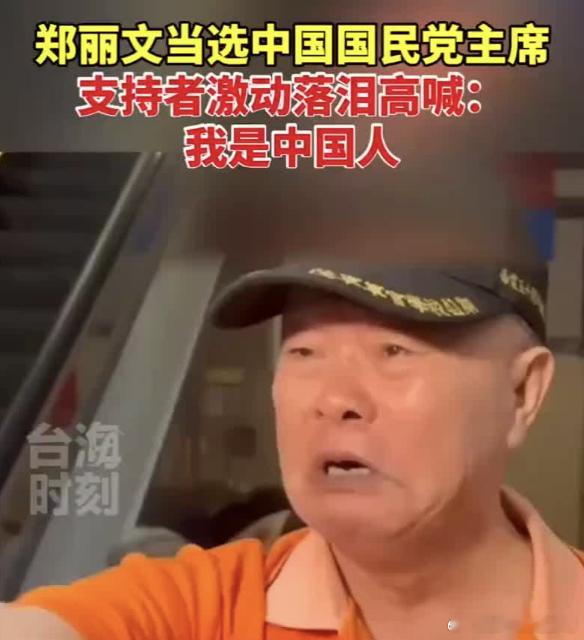 郑丽文支持者激动落泪说我是中国人热点观点 “我是中国人！”——郑丽文支持者激动落