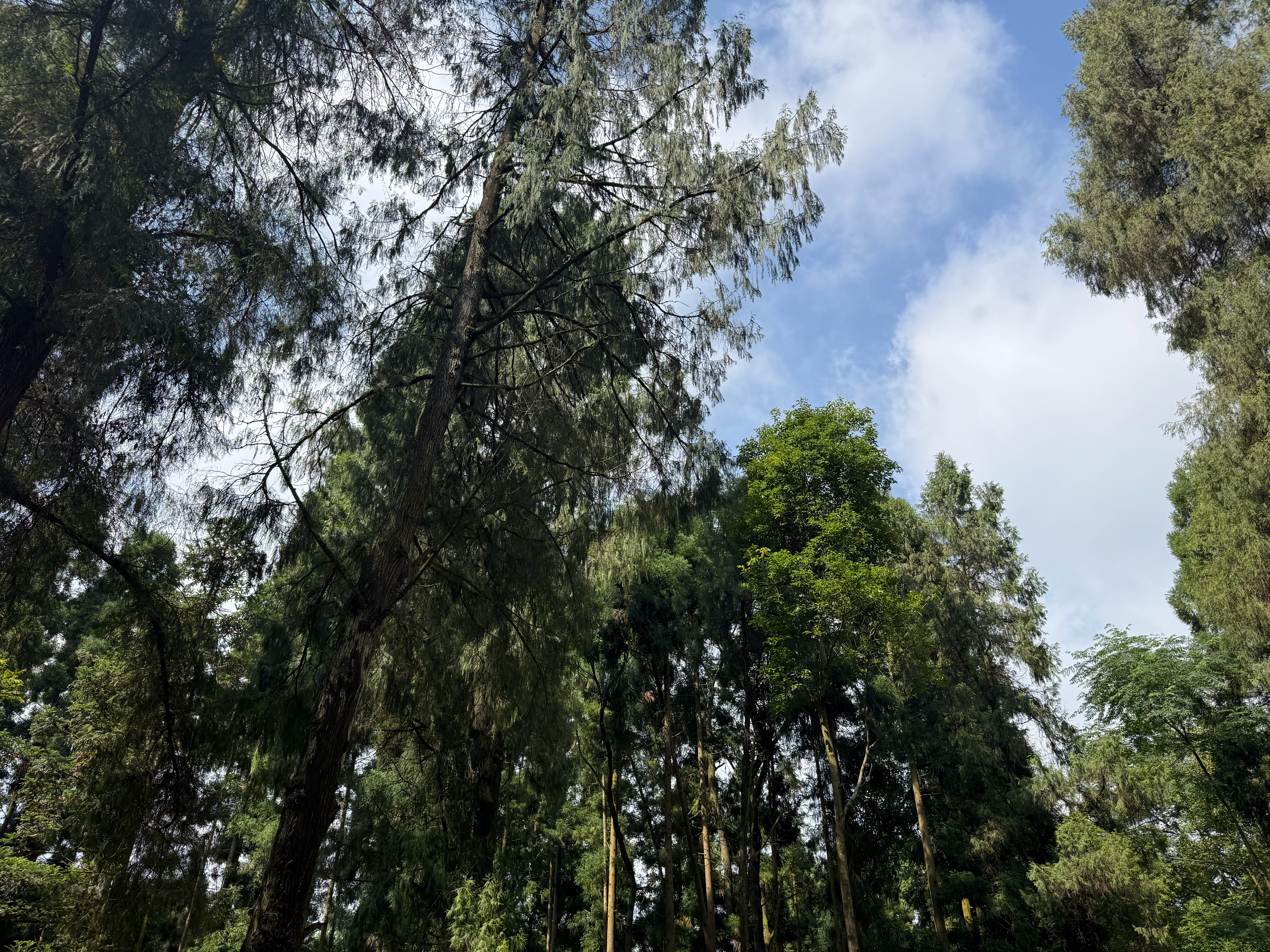 和重庆不一样的山 