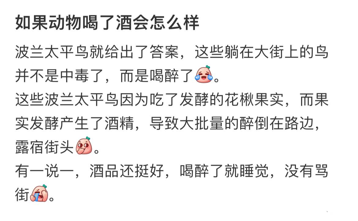 如果动物喝了酒会怎么样 ​​​