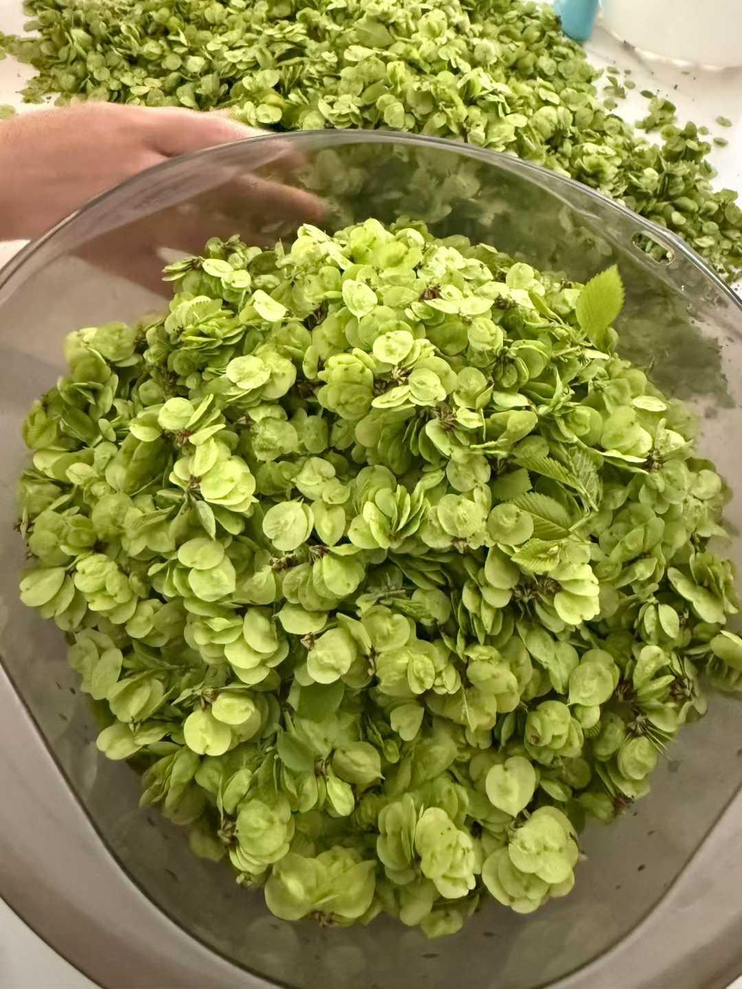 天然无公害蔬菜