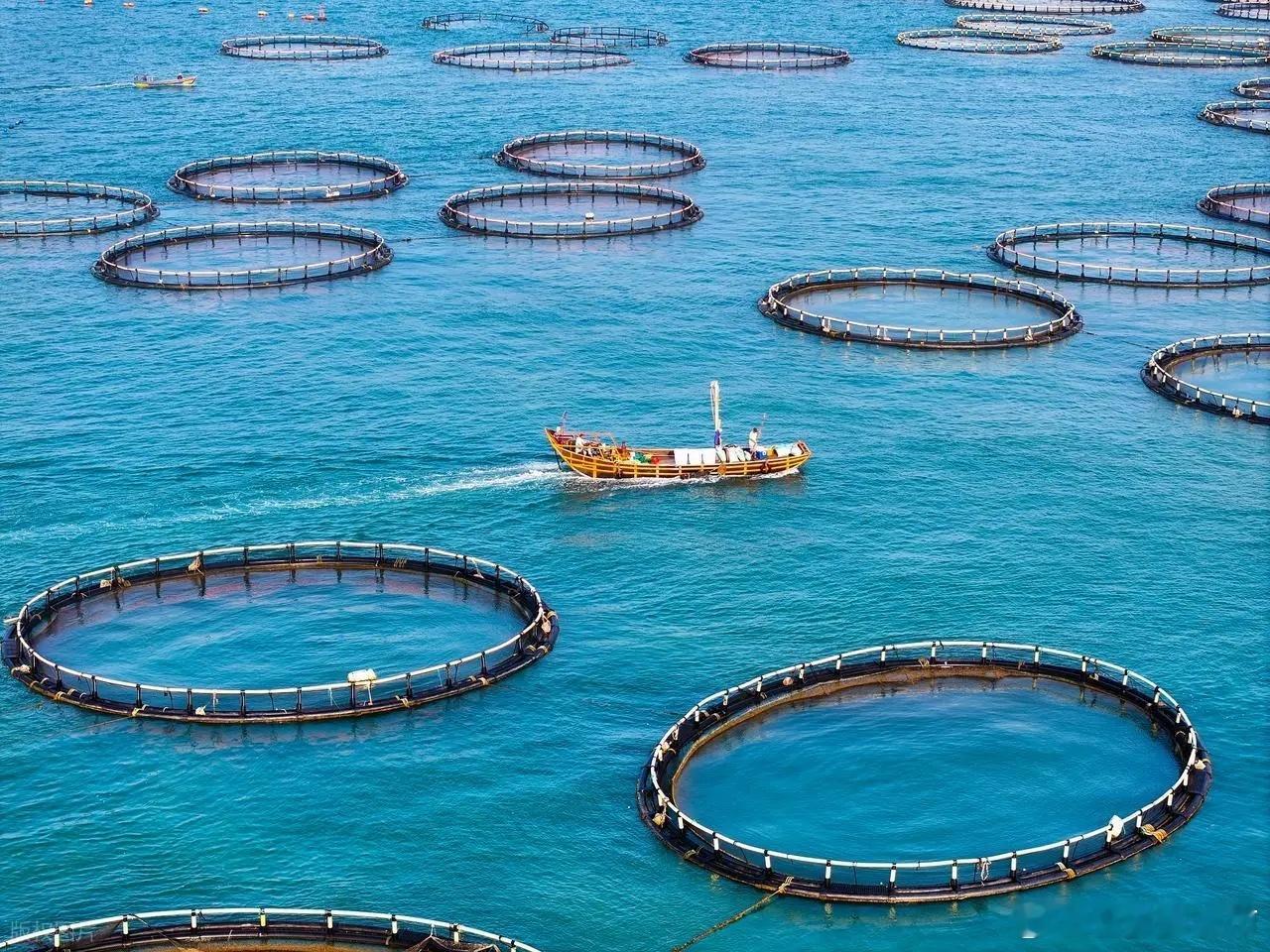 就在刚刚，我看到两个重要消息，外交部重磅发声，让人点赞支持，跟a股市场有何关联？