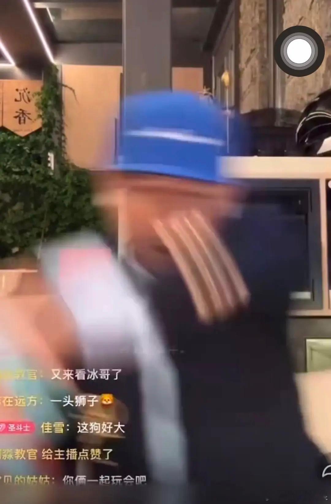大冰被狗拖走 这是什么品种的狗啊？把大冰拖走，连个残影都没有。[笑cry][笑c