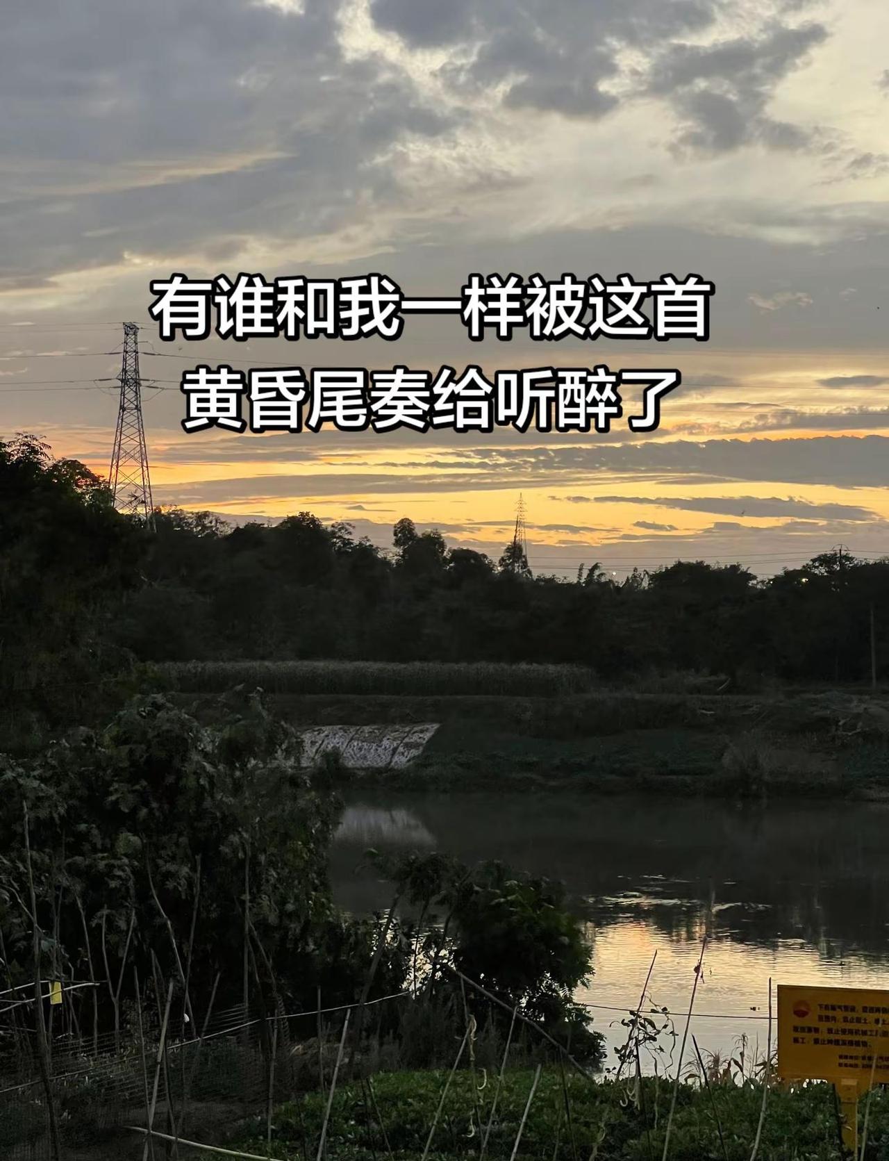 这个世界从来没有感同身受,你可以消沉,也可以抱怨,甚至可以崩溃,但你一定要懂得自