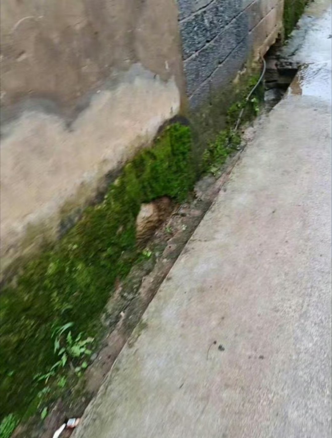 男生欲性侵15岁女同学将其杀害必须严惩，未成人不是挡箭牌，14岁已具恶性犯罪辨识