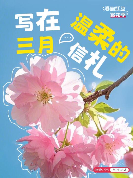 3-4月常熟春日赏花图鉴，海棠花即将开放