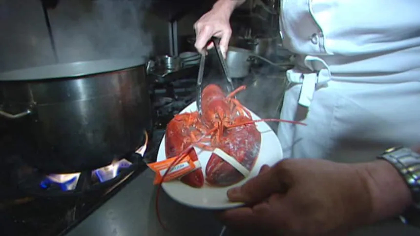 英国将禁止将活龙虾直接投入沸水烹煮就问你支不支持做龙虾、做蟹，都强制要求人道一点