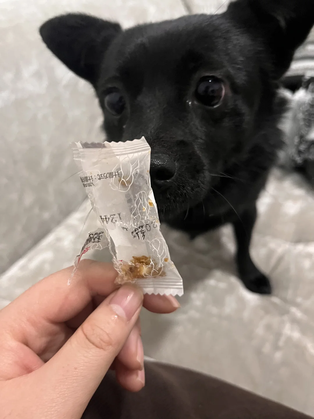 一眨眼的功夫 吃上自助了