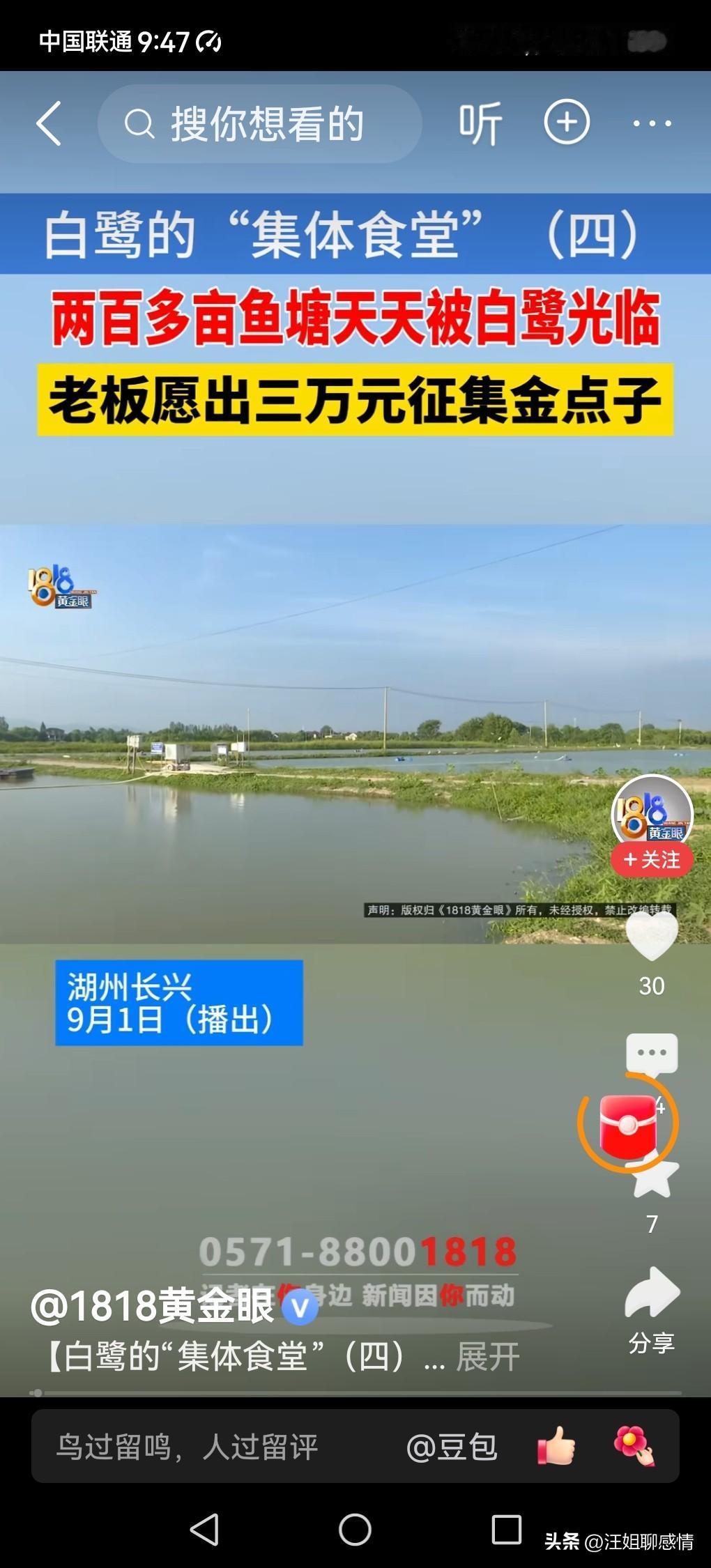 鱼塘成“食堂”，老板出3万征集驱鸟点子！

浙江湖州的周老板，这两天怕是要火了。