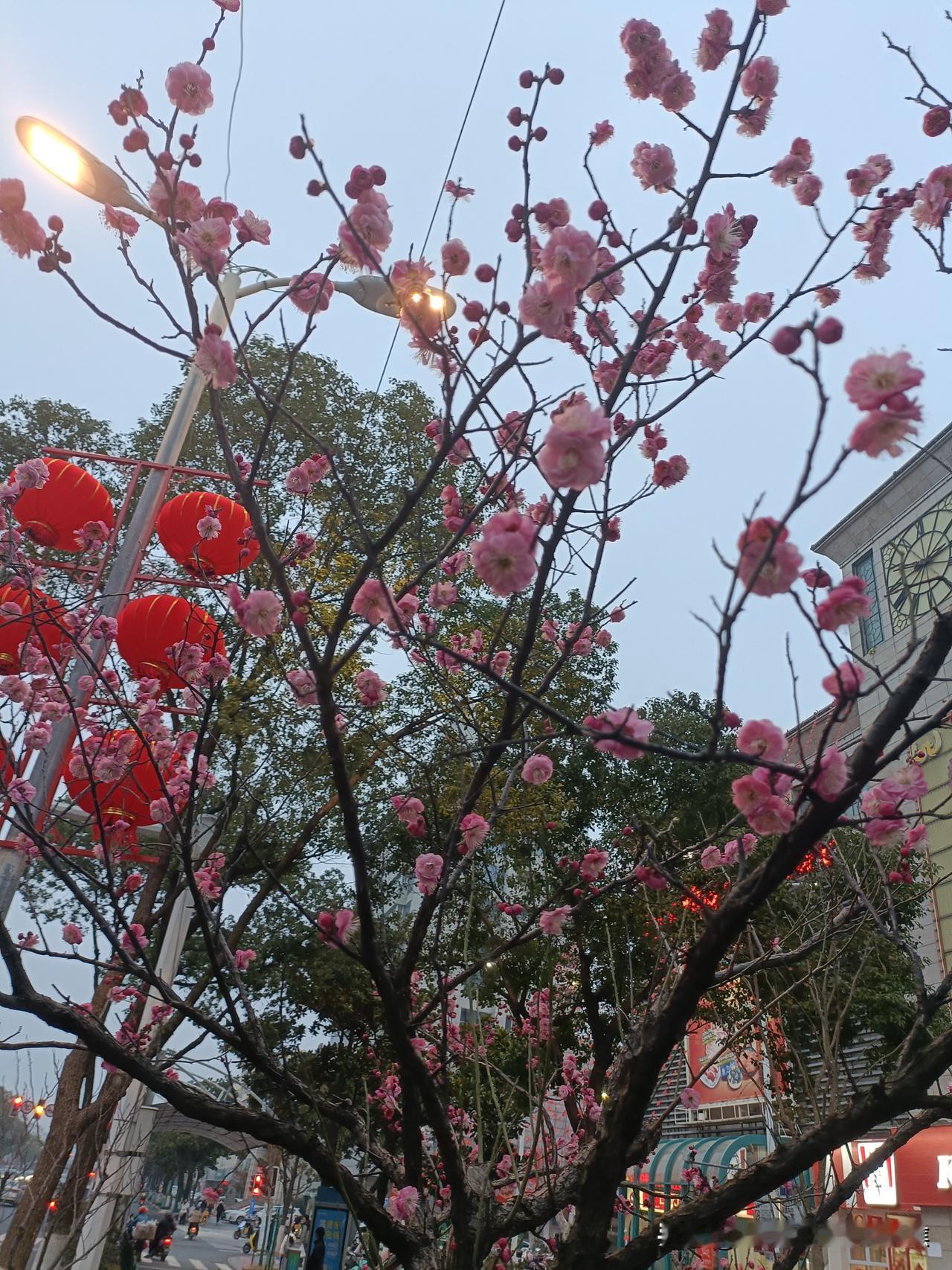 @情感@真正的爱意，常隐匿于无需提醒的细节之中
暧昧期的悸动与拉扯，本质上是大脑