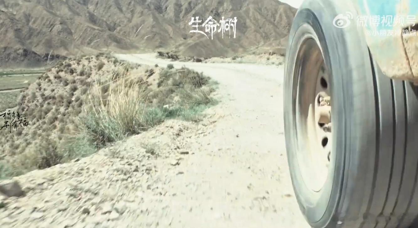 生命树死亡没有慢镜头《生命树》的死亡镜头太有冲击力了，没有慢镜头没有特写，张扬被