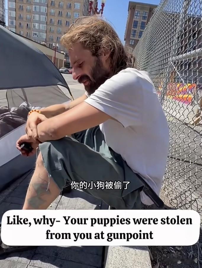这名美国流浪汉有点伤心！
一名美国流浪汉痛心的表示，他心爱的小狗被另外的流浪汉偷