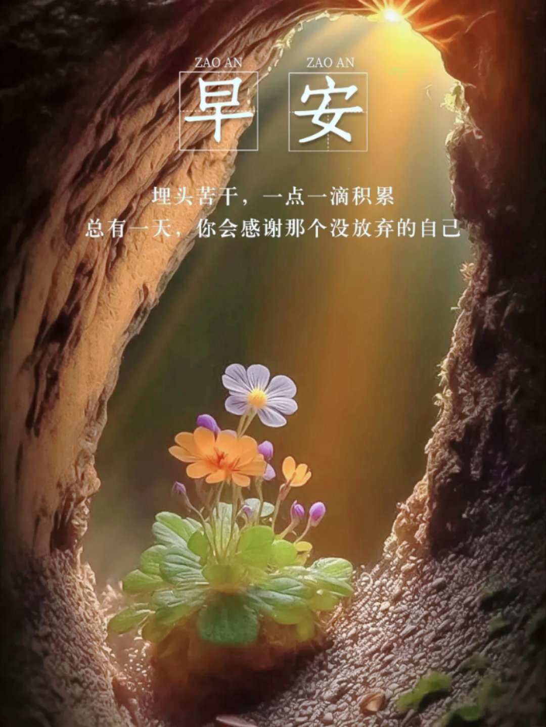 你坚持下来了，而别人坚持不下来，这就是你的资本。你有多努力，就有多特殊。人只有坚