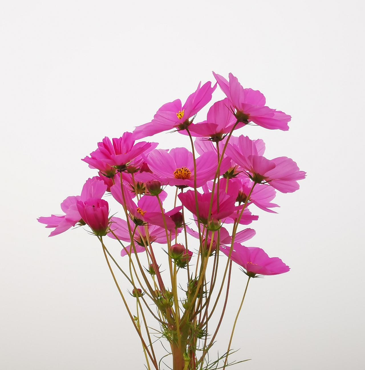 这次的匈牙利政党轮替倍受国际关注，是因为轮替带来了对欧洲对地缘政治的重大影响。但